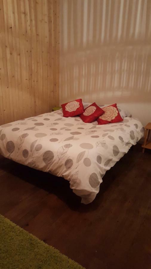 74 Rue Pasteur Appartamento Lavelanet Esterno foto