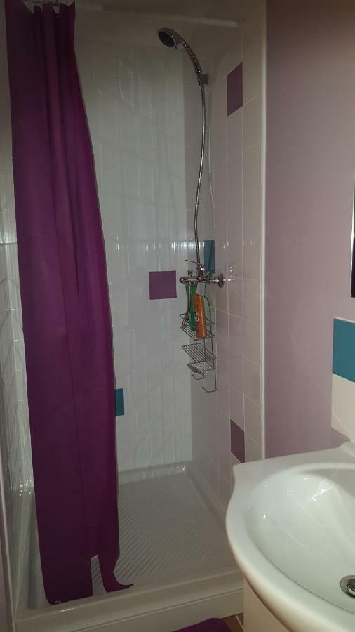74 Rue Pasteur Appartamento Lavelanet Esterno foto