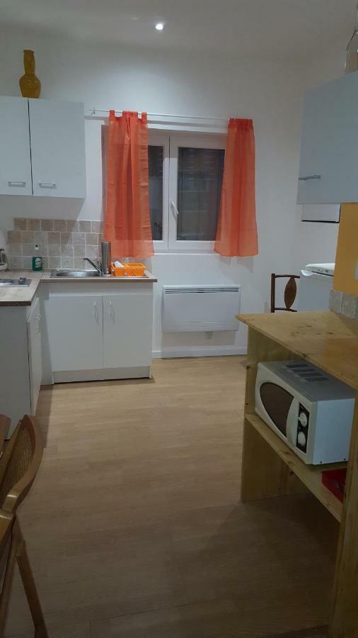 74 Rue Pasteur Appartamento Lavelanet Esterno foto